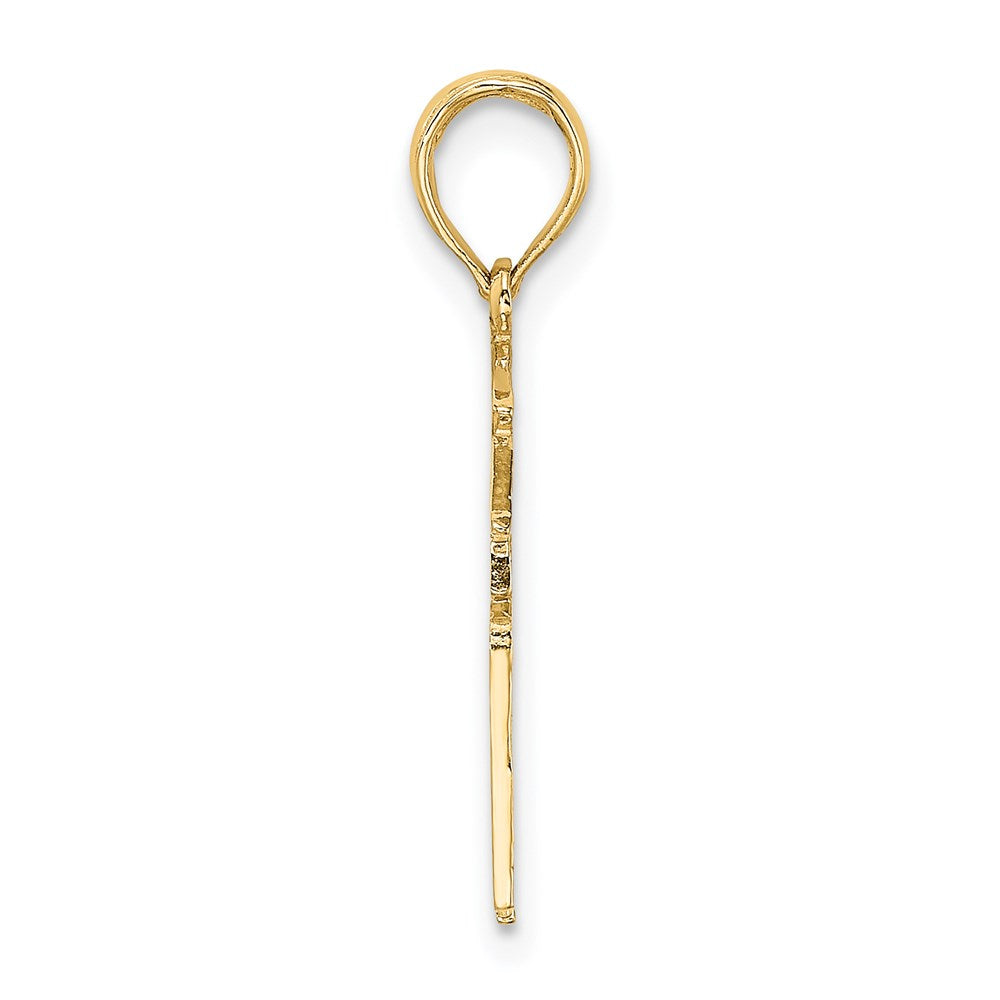 14k RN Registered NURSE Charm