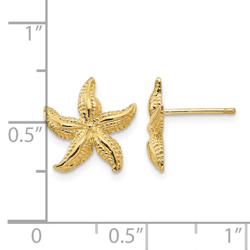 14k Starfish Earrings