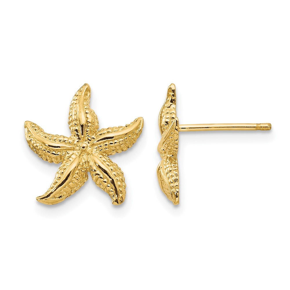 14k Starfish Earrings