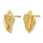 14k Conch Shell Earrings