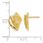 14k Conch Shell Earrings