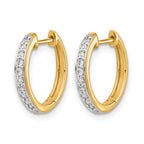 14k 1/4 carat Lab Grown Diamond VS/SI+ G+ Complete Hinged Hoop Earrings