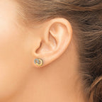 14k with White Rhodium Diamond Circles Post Earrings