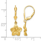 14k Satin and Diamond-Cut Plumeria Dangle Leverback Earrings