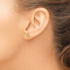 14k Madi K Kids CZ Crown Childrens Post Earrings