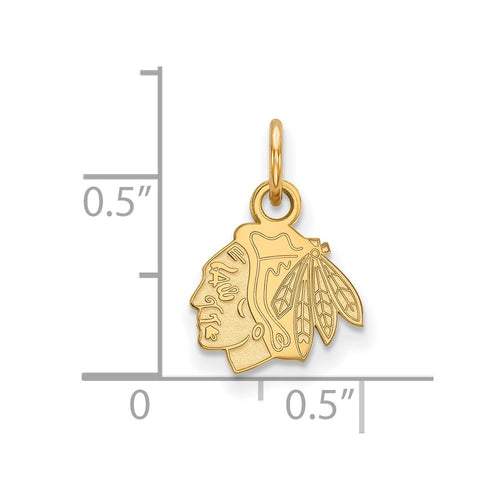 10k Gold NHL LogoArt Chicago Blackhawks Extra Small Pendant