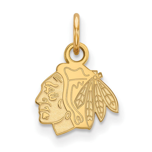 10k Gold NHL LogoArt Chicago Blackhawks Extra Small Pendant