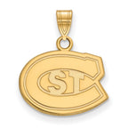 10k Gold LogoArt St. Cloud State University Small Pendant