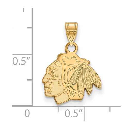 10k Gold NHL LogoArt Chicago Blackhawks Small Pendant