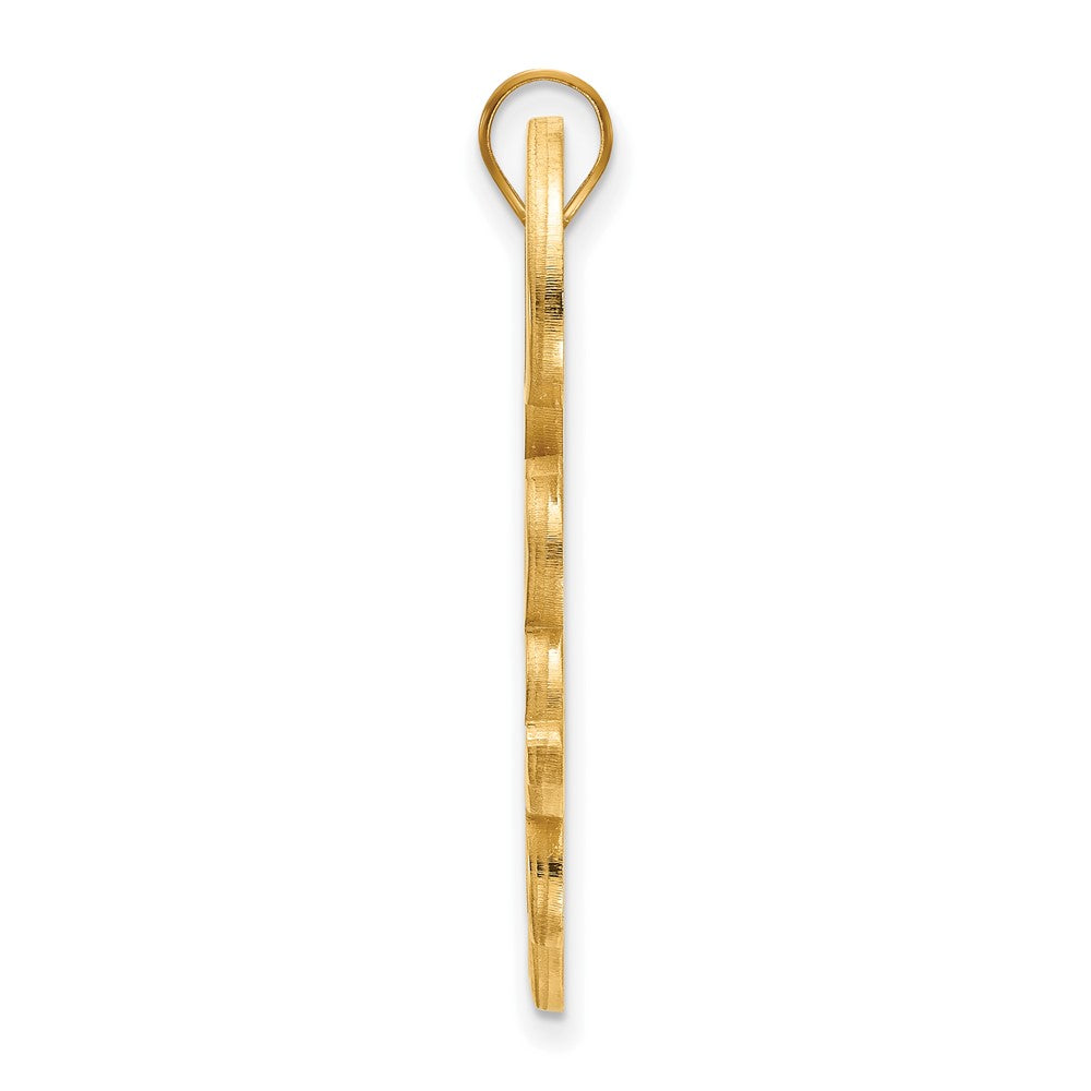 14k Gold LogoArt Tulane University Extra Large Pendant