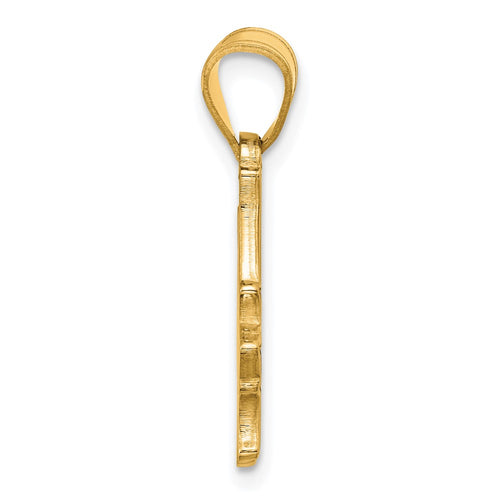 10k Gold LogoArt Indiana State University I-S Large Pendant