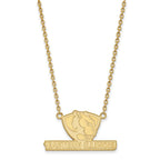 Sterling Silver Gold-plated LogoArt Eastern Illinois University Large Pendant 18 inch Necklace