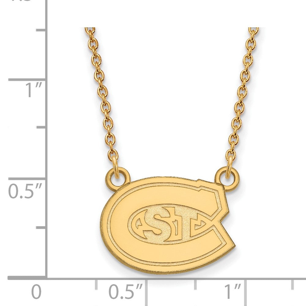 14k Gold LogoArt St. Cloud State University Small Pendant 18 inch Necklace