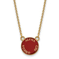 Sterling Silver Gold-plated LogoArt Alpha Chi Omega Sorority Text Small Color Enamel Pendant 18 inch Necklace