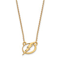 10k Gold NHL LogoArt Tampa Bay Lightning Small Pendant 18 inch Necklace