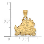 10k Gold LogoArt Texas Christian University Horned Frog Small Pendant