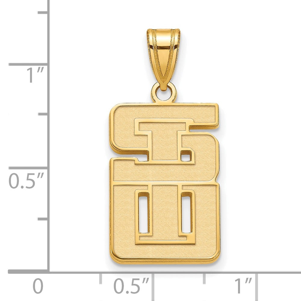 Sterling Silver w/GP LogoArt Southern Illinois University Large Pendant