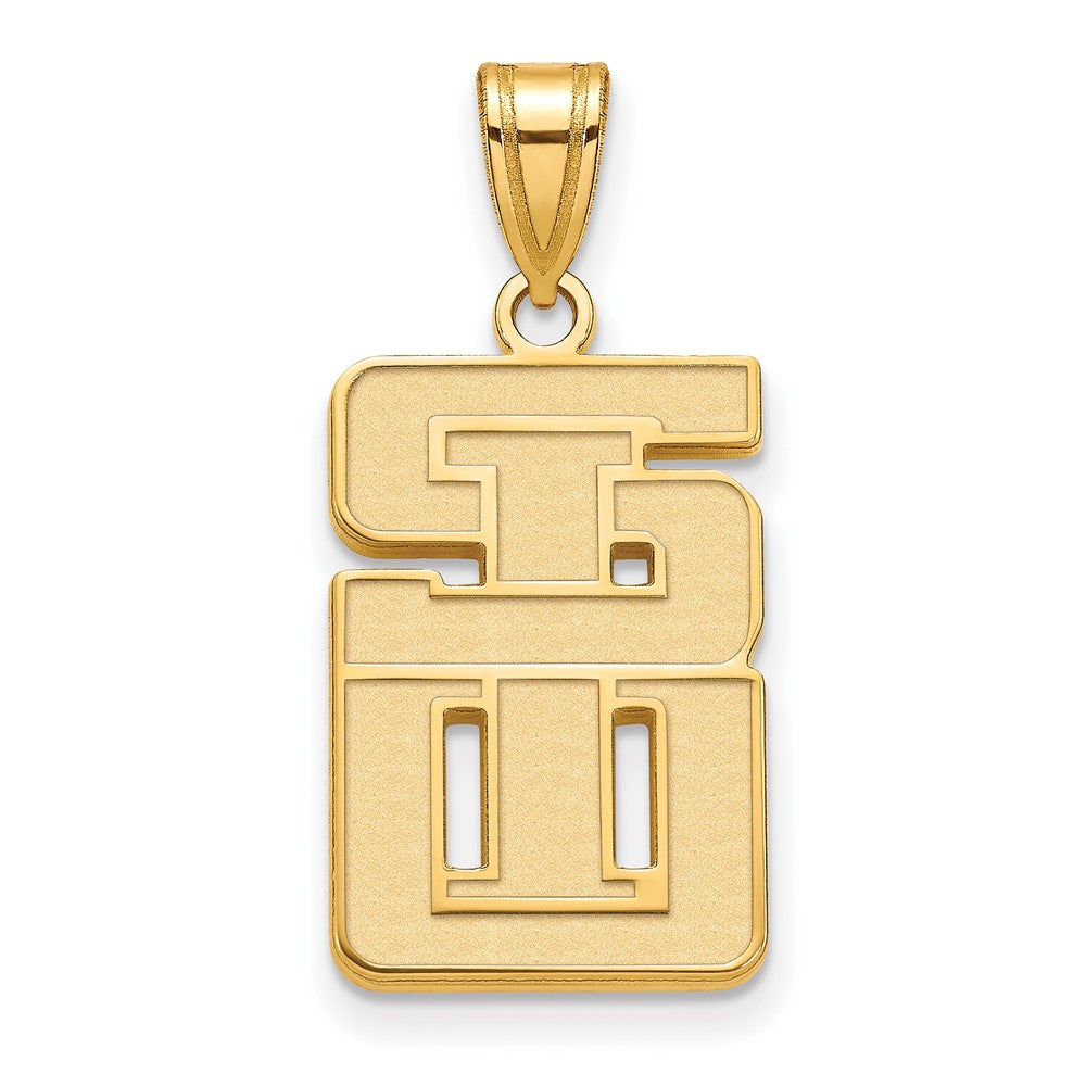 10ky LogoArt Southern Illinois University Large Pendant