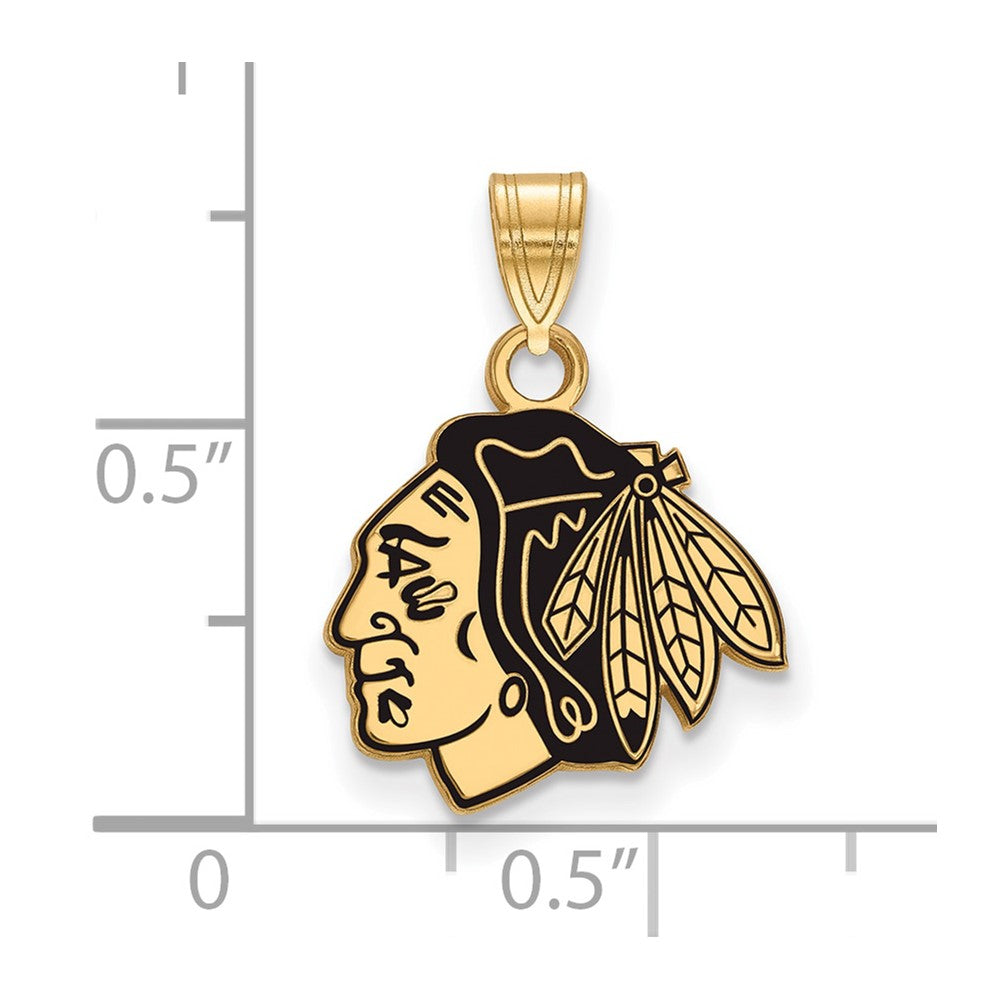 Sterling Silver Gold-plated NHL LogoArt Chicago Blackhawks Small Enameled Pendant