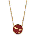 Sterling Silver Gold-plated LogoArt Pi Beta Phi Sorority Symbol Large Color Enamel Pendant 18 inch Necklace