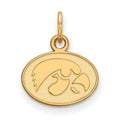 14k Gold LogoArt University of Iowa Hawk Extra Small Oval Pendant
