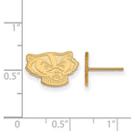 14k Gold LogoArt University of Wisconsin Badger Extra Small Post Earrings