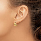 14k 8mm Polished Button Kidney Wire Earrings