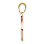 14k Two-tone with White Rhodium FOLLOW YOUR DREAMS Rainbow Charm