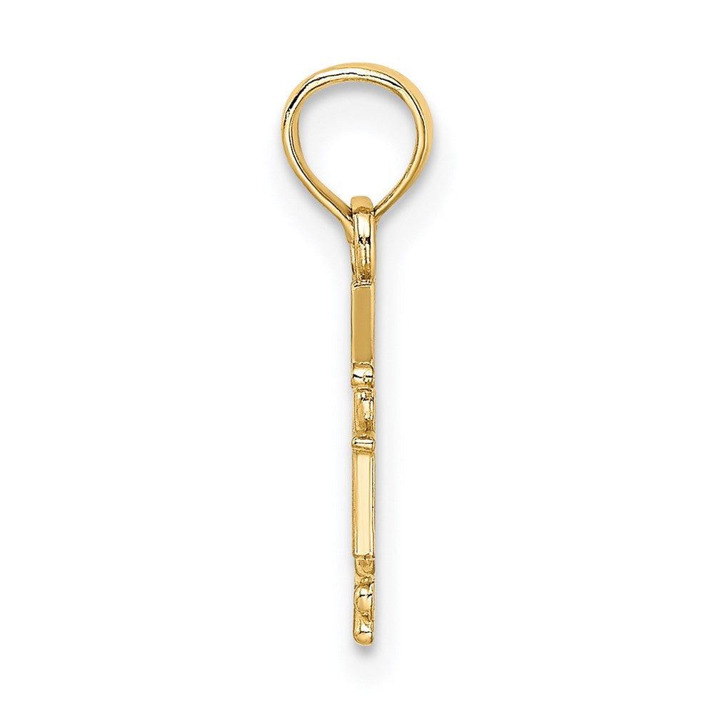 14K RN Registered Nurse Caduceus Charm