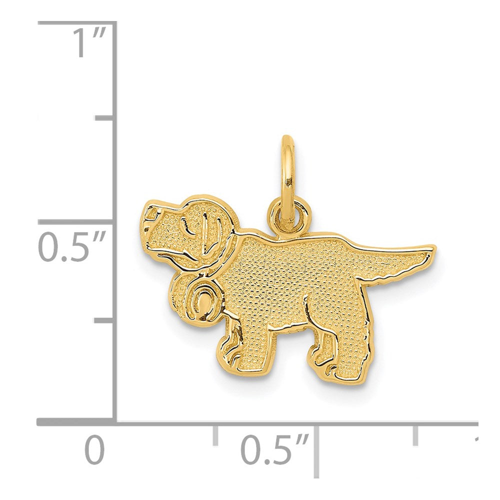14k Saint Bernard Dog Charm