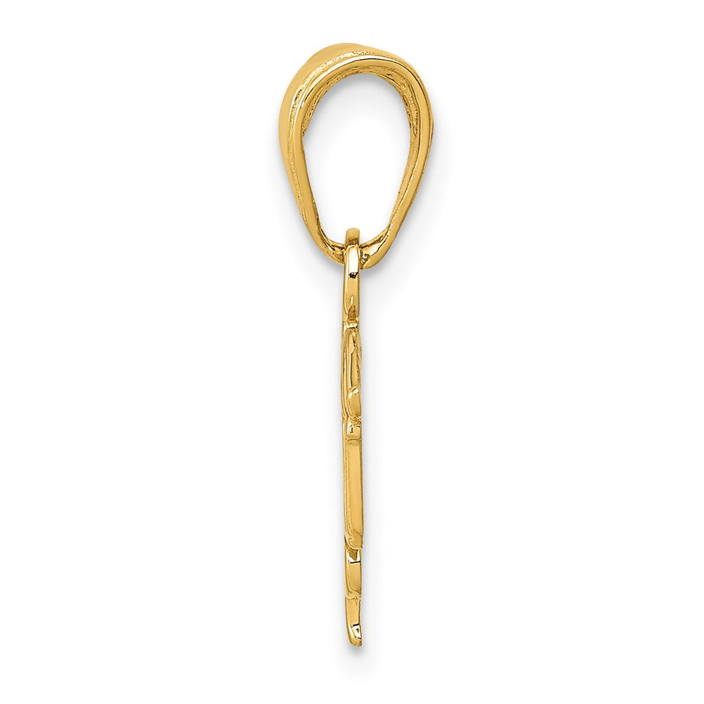 14k LPN Licensed Practical Nurse Symbol Pendant