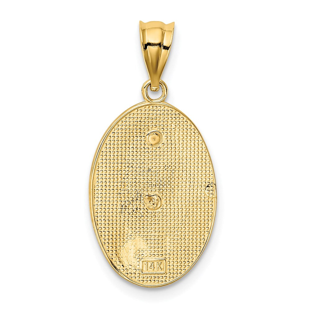 14K Two-tone with White Rhodium Solid Our Lady of Guadalupe 15 Oval Pendant