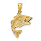 14k Polished Textured Bass Fish Pendant