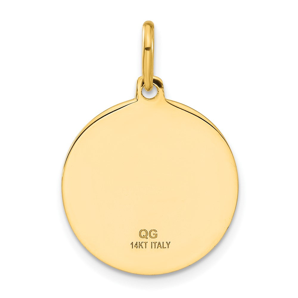 14k Yellow Gold Polished and Satin Papa Francesco Medal Pendant
