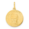 14k Yellow Gold Polished and Satin Papa Francesco Medal Pendant