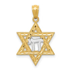 14k and White Rhodium Star of David with Chai Pendant