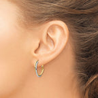 14K Two-tone Polished Hoop Earrings