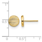 14K Polished and Textured Disc Post Earrings