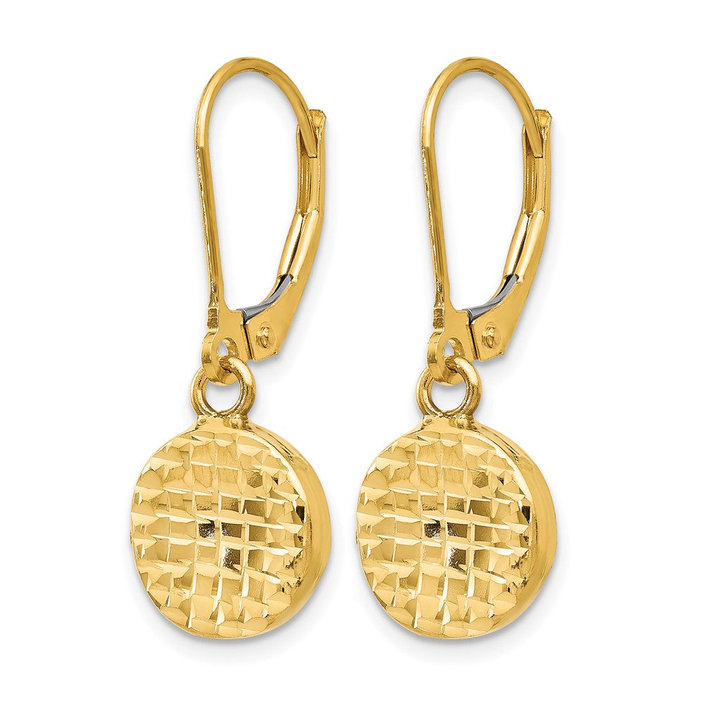 14K Polished D/C Leverback Earrings