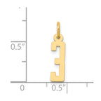 14k Small Elongated Number 3 Charm
