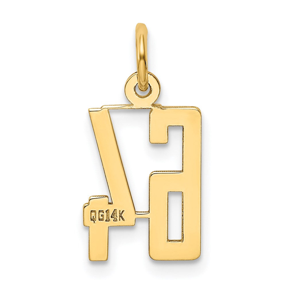 14k Small Elongated Number 64 Charm