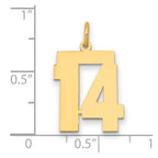 14k Medium Polished Number 14 Charm
