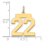 14k Medium Polished Number 22 Charm