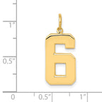 14k  Large Polished Number 6 Charm