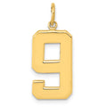 14k  Large Polished Number 9 Charm
