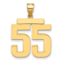 14k Large Polished Number 55 Charm