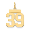 14k Small Polished Number 39 Charm
