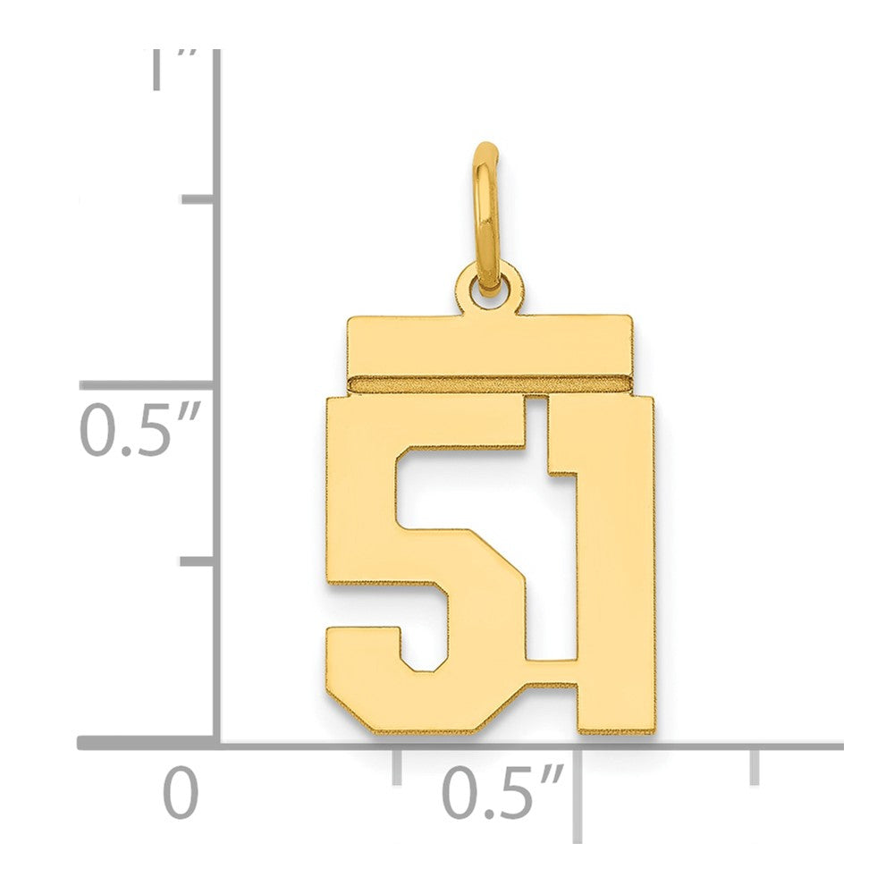 14k Small Polished Number 51 Charm