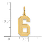 14k Medium Satin Number 6 Charm