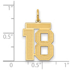 14k Medium Satin Number 18 Charm